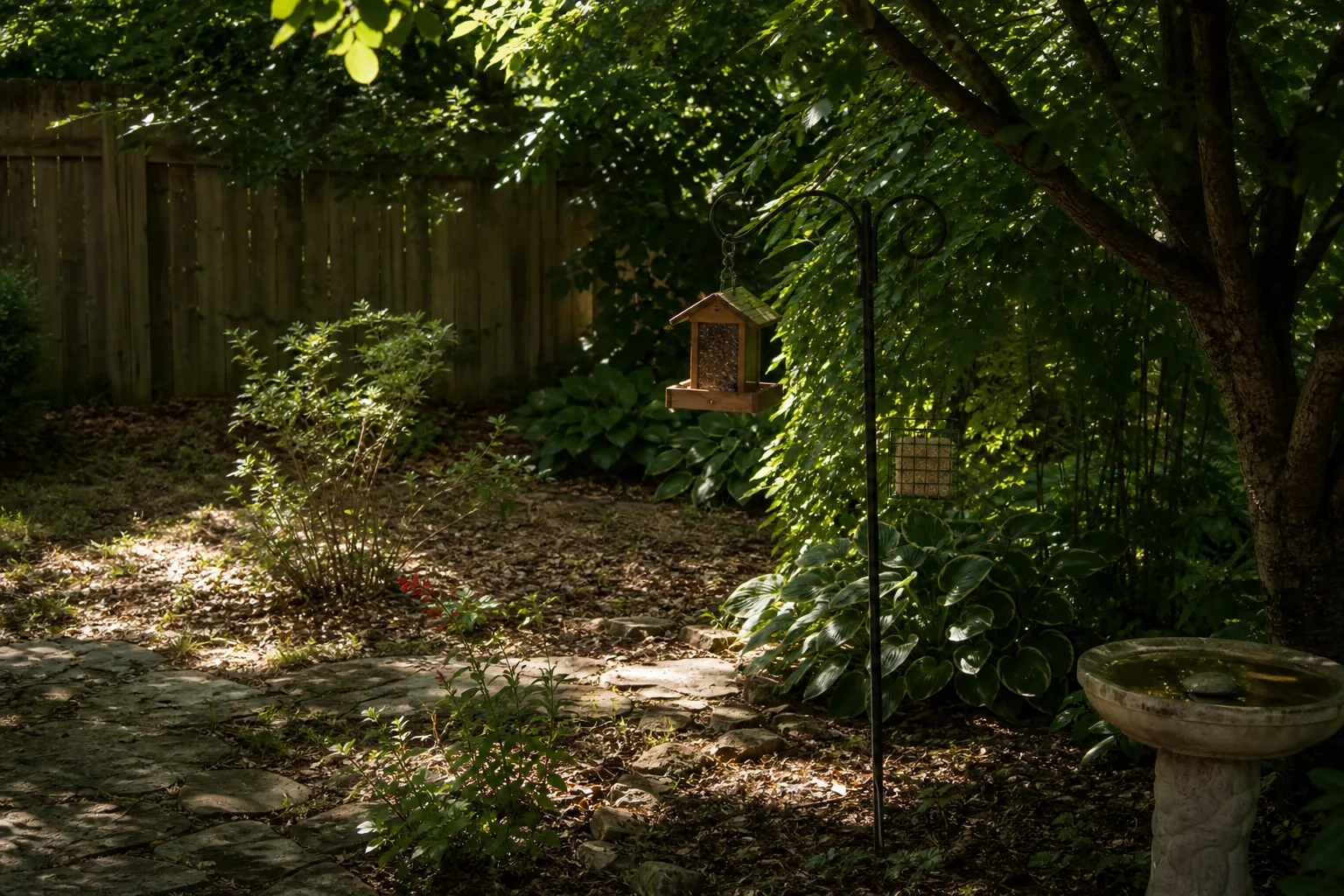 A generic feeder area where sunlight and tree shade meet in a small garden